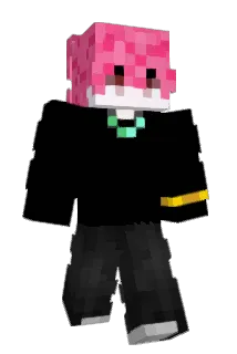 poodlepajama Minecraft avatar full body