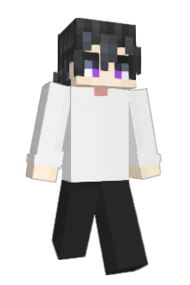 pooederbroeder Minecraft avatar full body