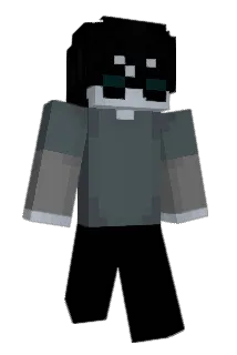 pool_qz Minecraft avatar full body