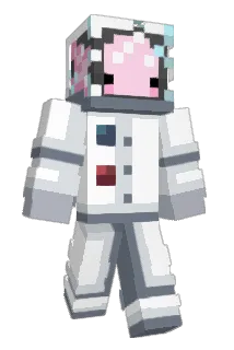 poolfroggg Minecraft avatar full body