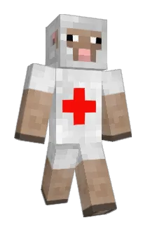 poollol Minecraft avatar full body