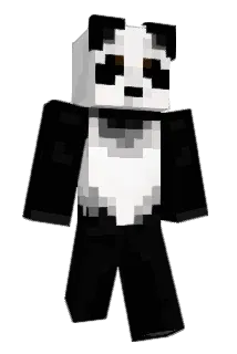 popadom20 Minecraft avatar full body