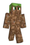popon Minecraft avatar full body