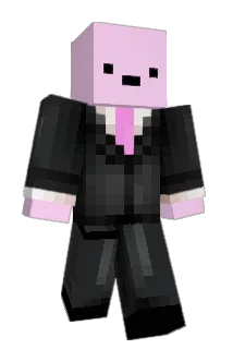 poptart_3 Minecraft avatar full body