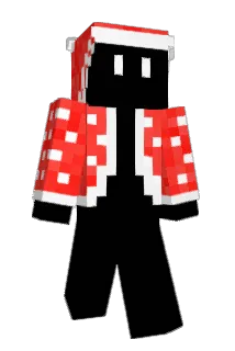 poptasupp Minecraft avatar full body