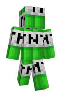 porcelet51 Minecraft avatar full body
