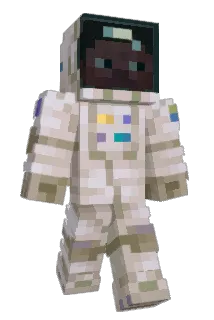 portaal1 Minecraft avatar full body