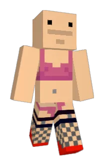 positivpatti Minecraft avatar full body