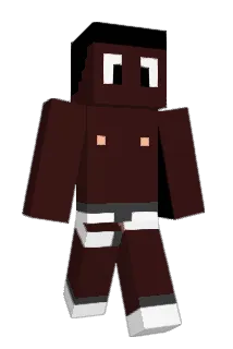 postykun Minecraft avatar full body