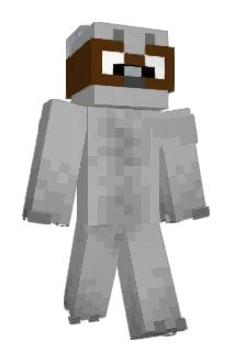 potato2420 Minecraft avatar full body