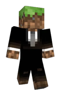 potatochip2509 Minecraft avatar full body