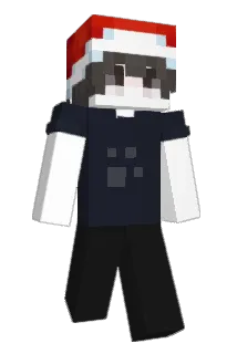 poulepykaant Minecraft avatar full body