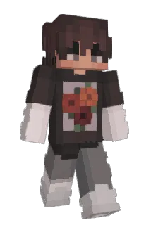 pp3 Minecraft avatar full body