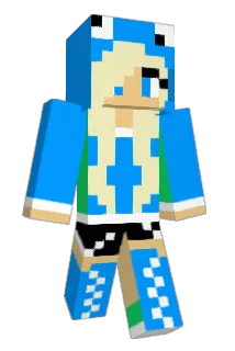 pp5857 Minecraft avatar full body