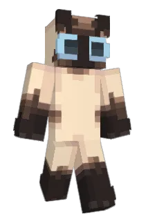 pp_pppp_ Minecraft avatar full body