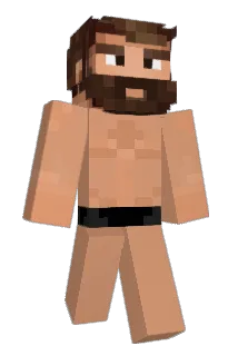 ppalomaa Minecraft avatar full body