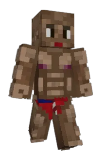 ppfp Minecraft avatar full body