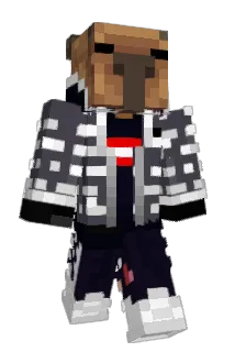 ppman12 Minecraft avatar full body