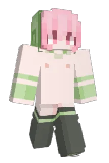 ppqq123 Minecraft avatar full body