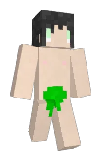 pqghb Minecraft avatar full body