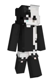 pr2y Minecraft avatar full body