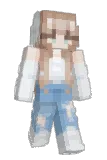 pr5m Minecraft avatar full body