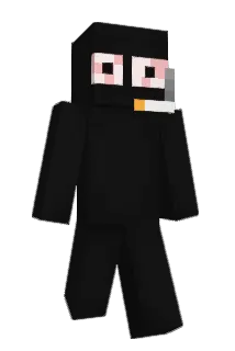 praeb Minecraft avatar full body