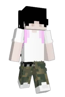 preemie Minecraft avatar full body