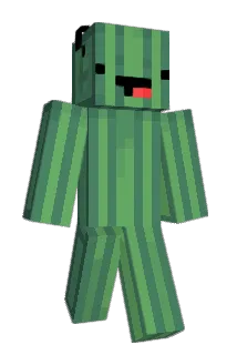 premulda14 Minecraft avatar full body