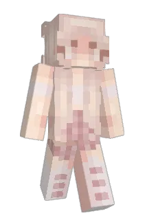 princessvolume Minecraft avatar full body