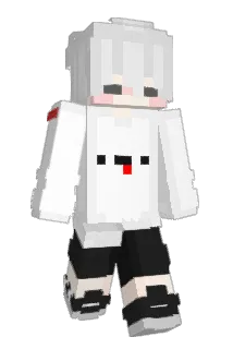 pringles_BB Minecraft avatar full body