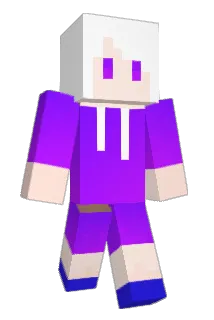 prinsecc Minecraft avatar full body