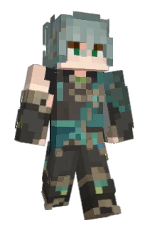 privacyy Minecraft avatar full body