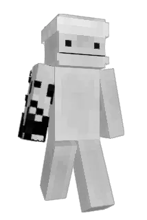 privaton Minecraft avatar full body