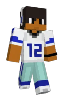 probas Minecraft avatar full body