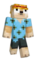 Custom render preview