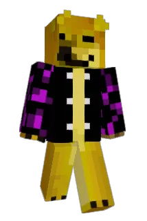 proficrafterHD Minecraft avatar full body