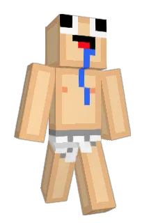 promaster5 Minecraft avatar full body