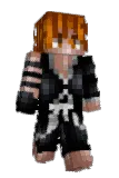 protless Minecraft avatar full body