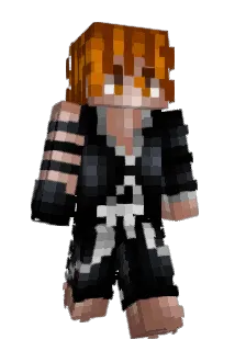 protless Minecraft avatar full body