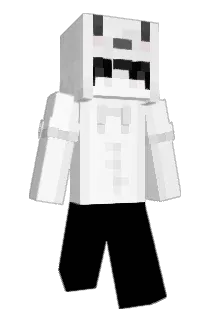 proxyyyyyyyyyyyy Minecraft avatar full body