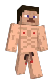 pryapes Minecraft avatar full body