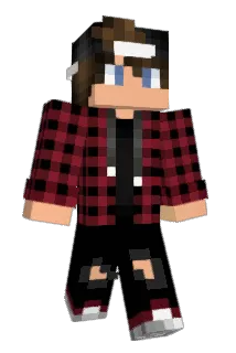 psett Minecraft avatar full body