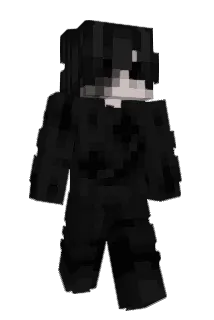 pslna Minecraft avatar full body