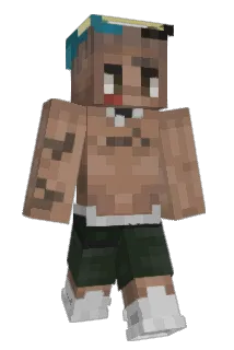 psynorr Minecraft avatar full body