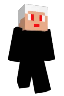pts417 Minecraft avatar full body