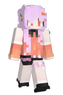 ptsx1 Minecraft avatar full body