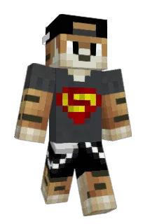 ptut Minecraft avatar full body