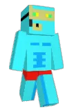 public_Dong Minecraft avatar full body