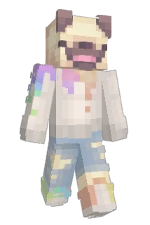 puggley Minecraft avatar full body